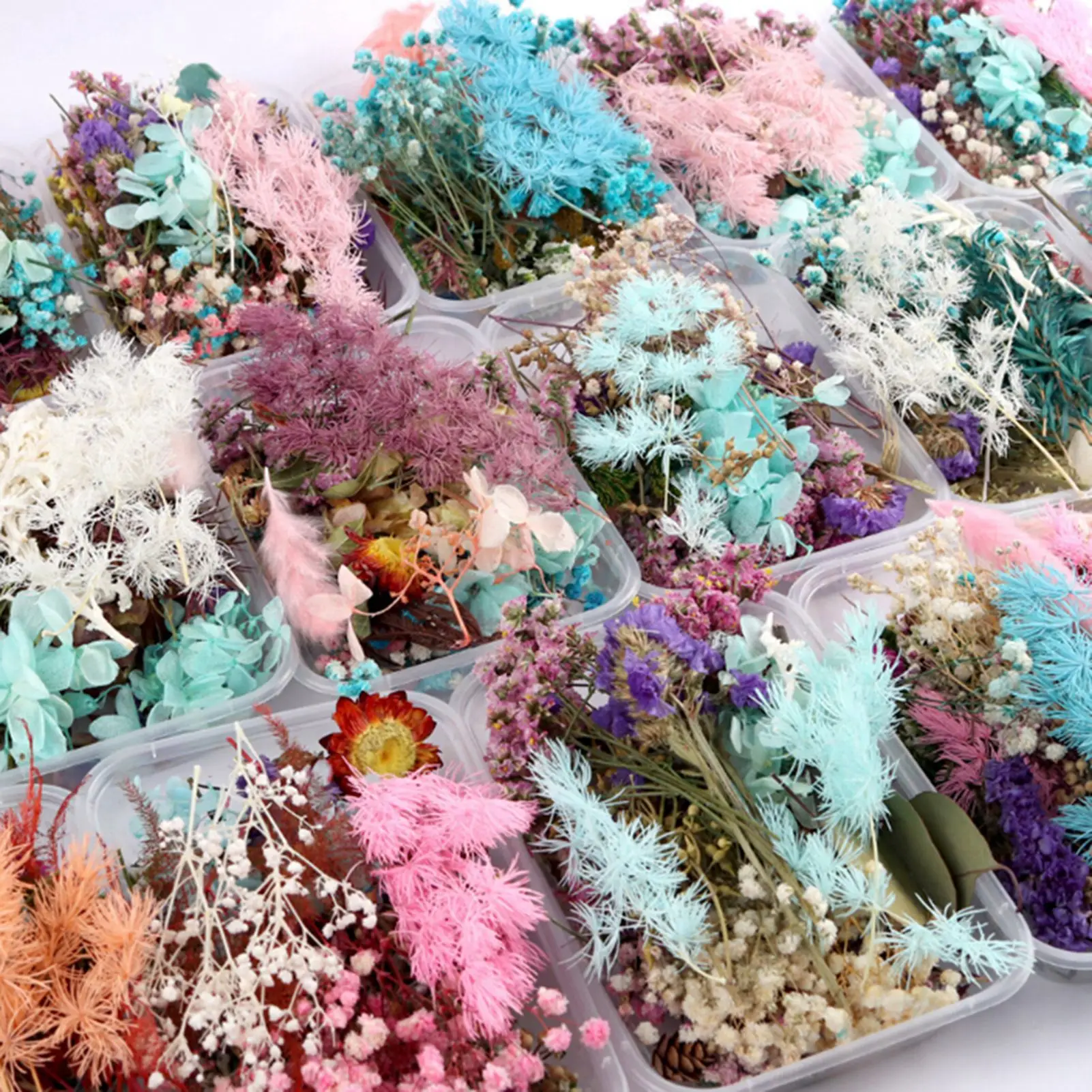 Paquete de material de producción DIY hecho a mano de flores secas flor inmortal natural flor de regalo del Día de San Valentín