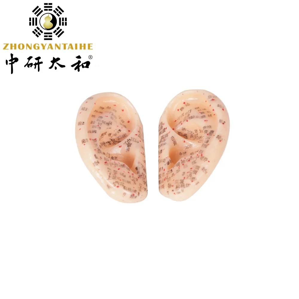 1 Pair 8cm Ear Acupuncture Model 1:1 Auricular Application Ear Acupuncture Points Model Ear Acupuncture Earpins Personal Care