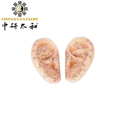 1 Pair 8cm Ear Acupuncture Model 1:1 Auricular Application Ear Acupuncture Points Model Ear Acupuncture Earpins Personal Care