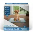 

Large, 22 in x 22 in, 100 Count