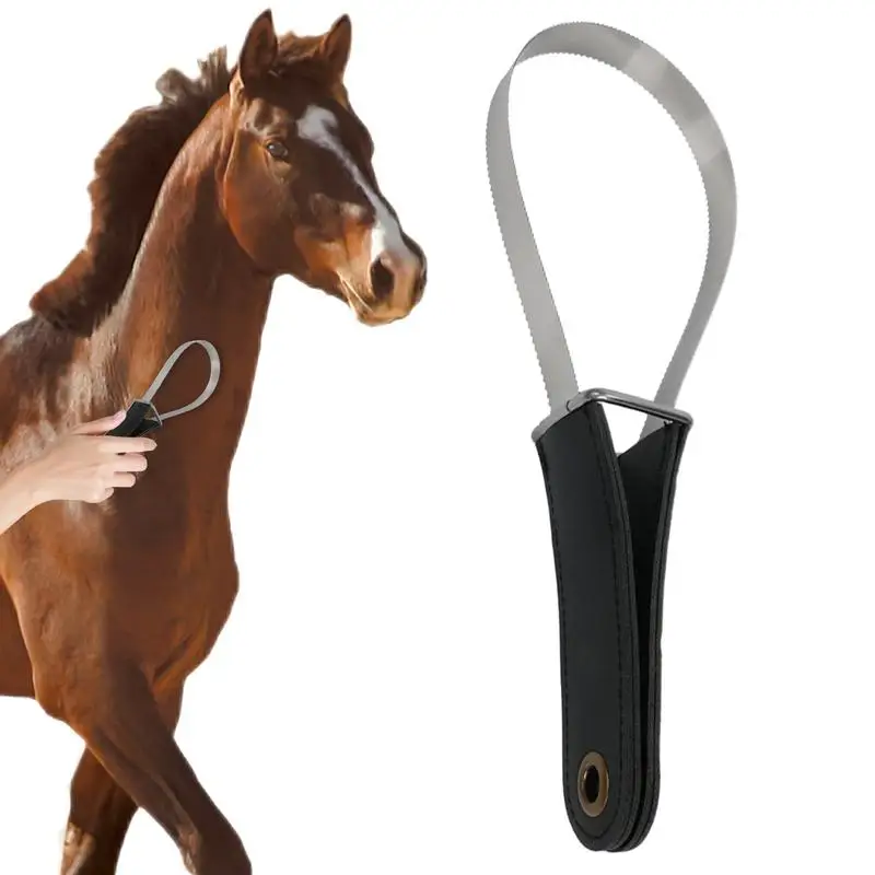 مكشطة شعر الحصان من الفولاذ المقاوم للصدأ، فرشاة حصان مزدوجة الجوانب، مكشطة بمقبض ناعم، أداة تساقط الحصان، أداة تهذيب الحيوانات الأليفة لقصيرة