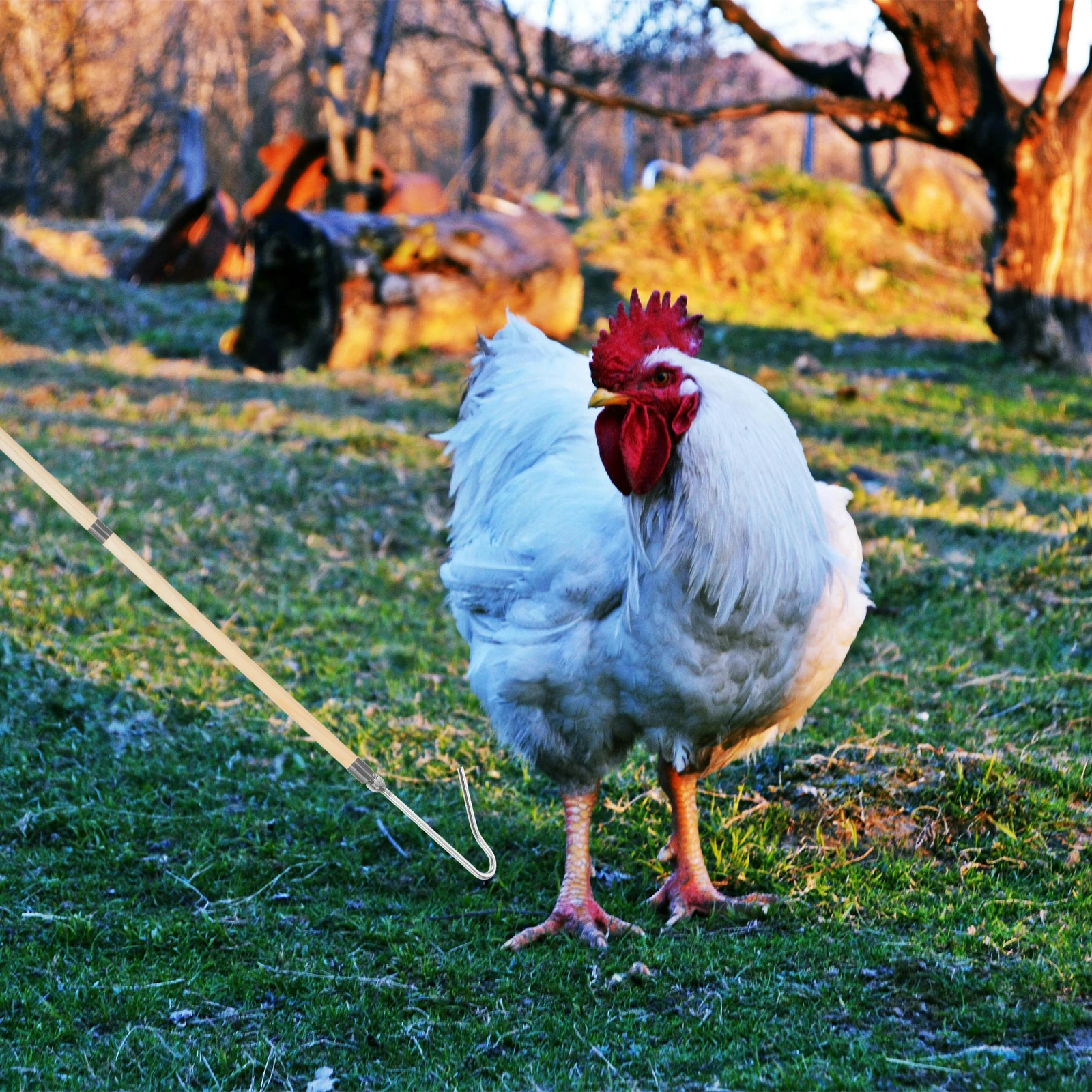 

Chicken Hook Catcher Tool Durable Easy Use Farm Equipment Chicken Legs Duck Hooks Capture Poultry Accessories Animal Pole Pet