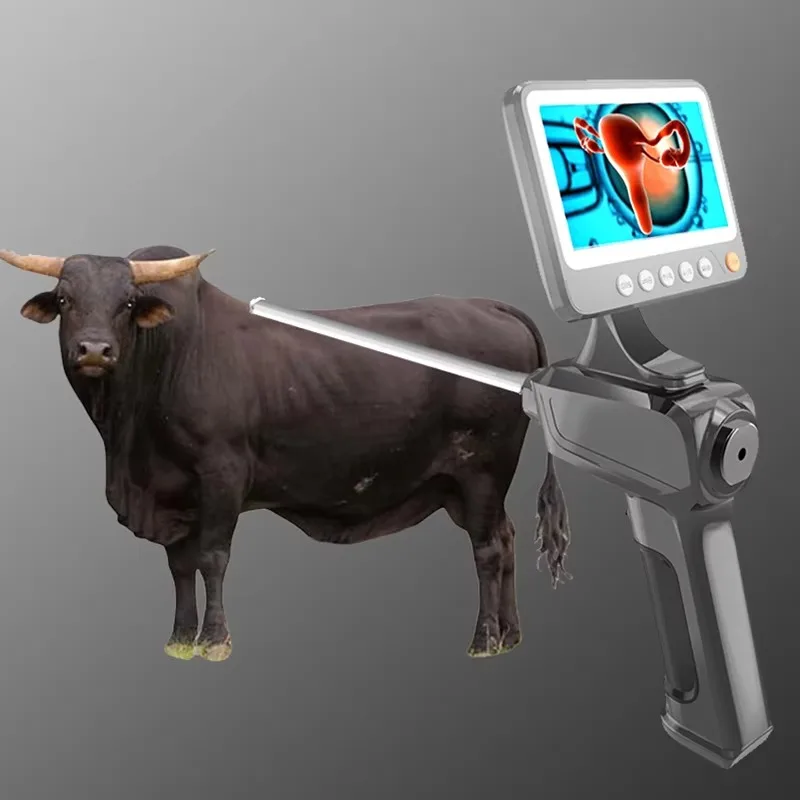 動物内視鏡模擬人工授精ビデオ、動物用人工授精銃（犬、牛用）