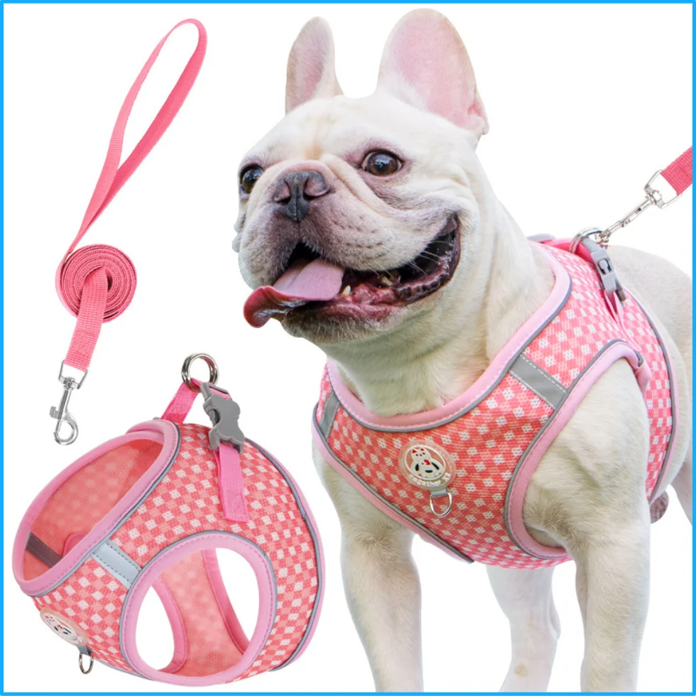 Coleira e guia para gatos e cães pequenos, com padrão xadrez, para uso ao ar livre, respirável, com faixa refletora, para passeios, ideal para gatos e cães da raça Bichon Frisé.