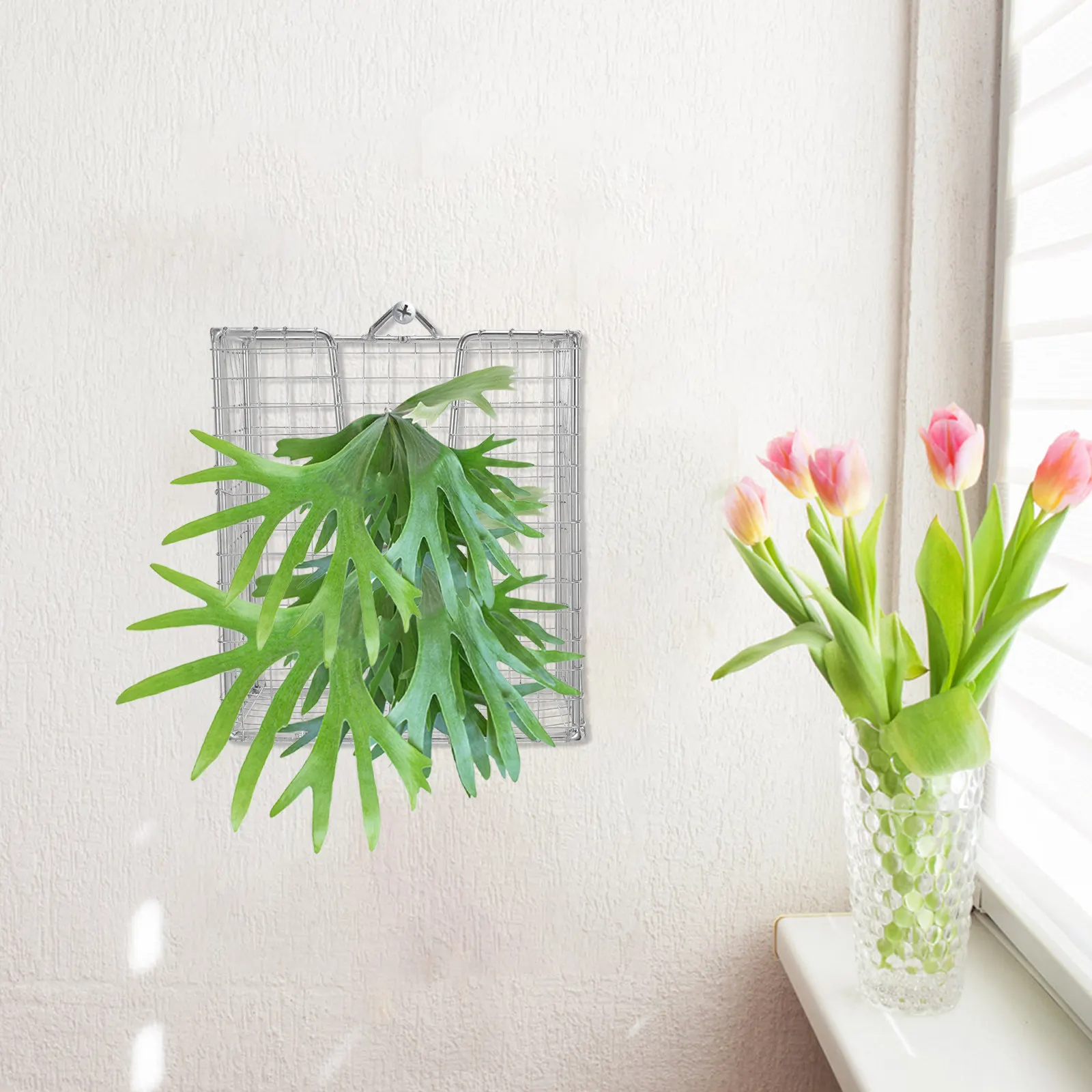 Stainless Steel Wall Hanging Plant Basket Vertical Garden Holder for Orchid Staghorn Fern Home Decor view 3