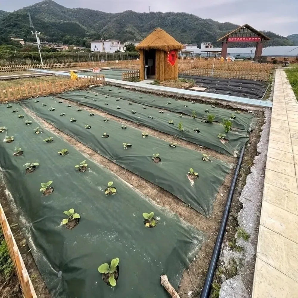 Pre-punched Holes Perforated Grass Proof Cloth Double Layer Biodegradable Weed Proof Cloth with Ground Nails Non-woven