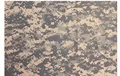 American Camo