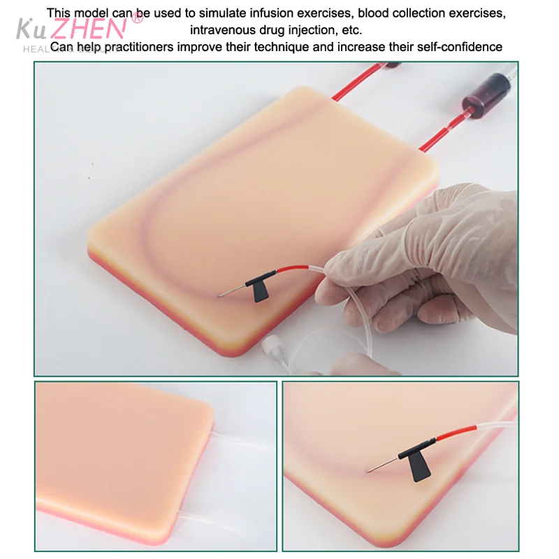 Modulo di pratica per iniezione intrappolta vascolare a forma di U che simula il ritorno dei vasi sanguigni Studente di medicina Infermiera Pratica puntura