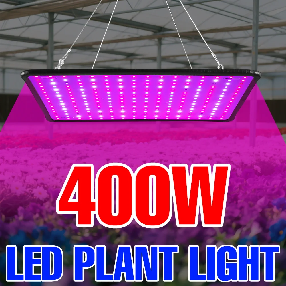 400W LED Grow Light Full Spectrum Quantum Board Plant Cultivation Lamp For Indoor Potted Fruit Greenhouse Tent Moss Succulent