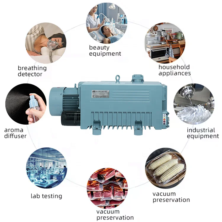 Pompa a vuoto per test di laboratorio di apparecchiature di bellezzaP-100 ad alta efficienza palette rotanti monostadio 380V 3KW