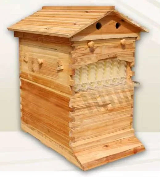 Golden Palace Automatic Flows hive 2 Beehive 7pcs Super Box Free Frame