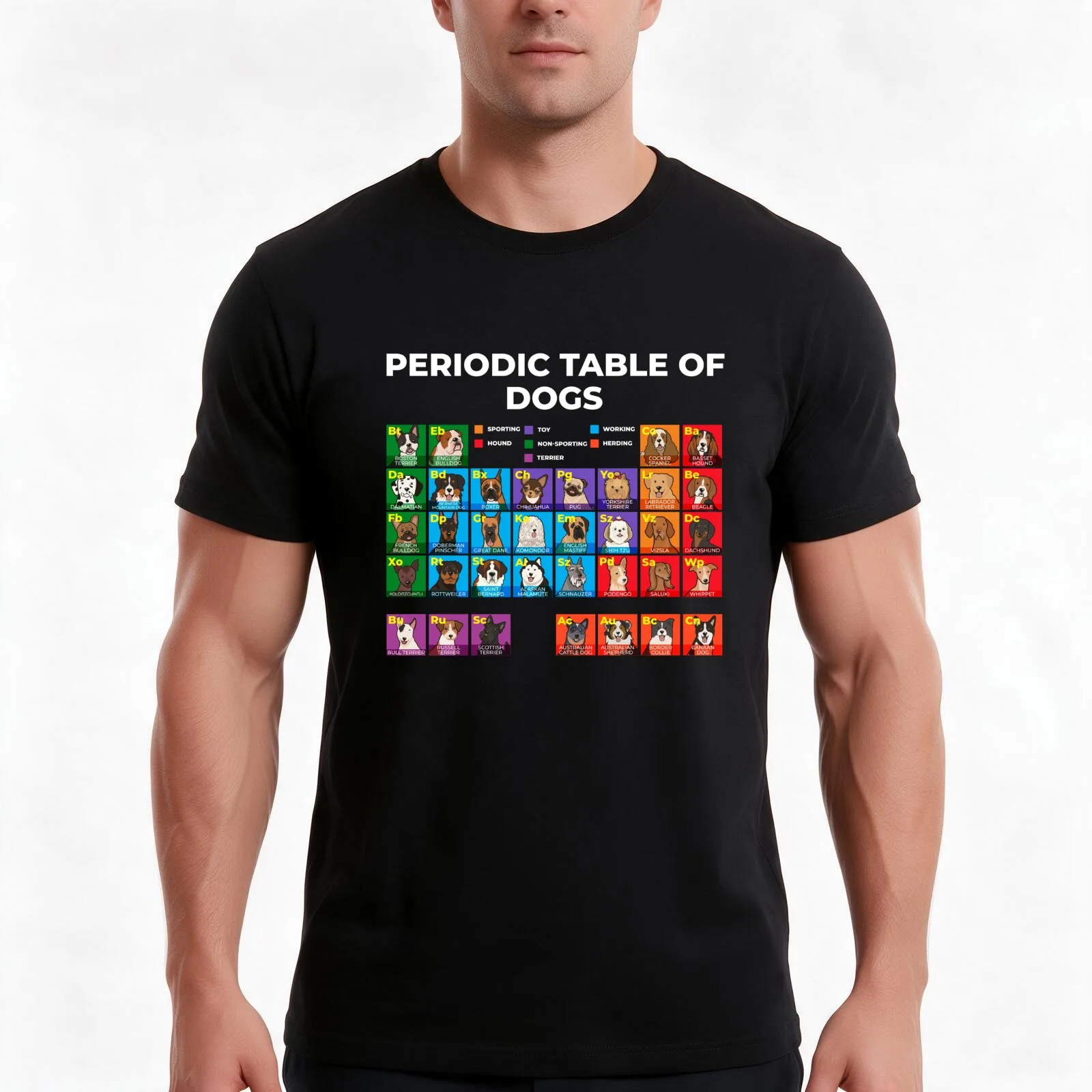 Periodic Table of Dogs, Dog Lover, Funny Science T-Shirt, Novelty Saying Tshirt, Soft Cotton Crew Neck Everyday Top