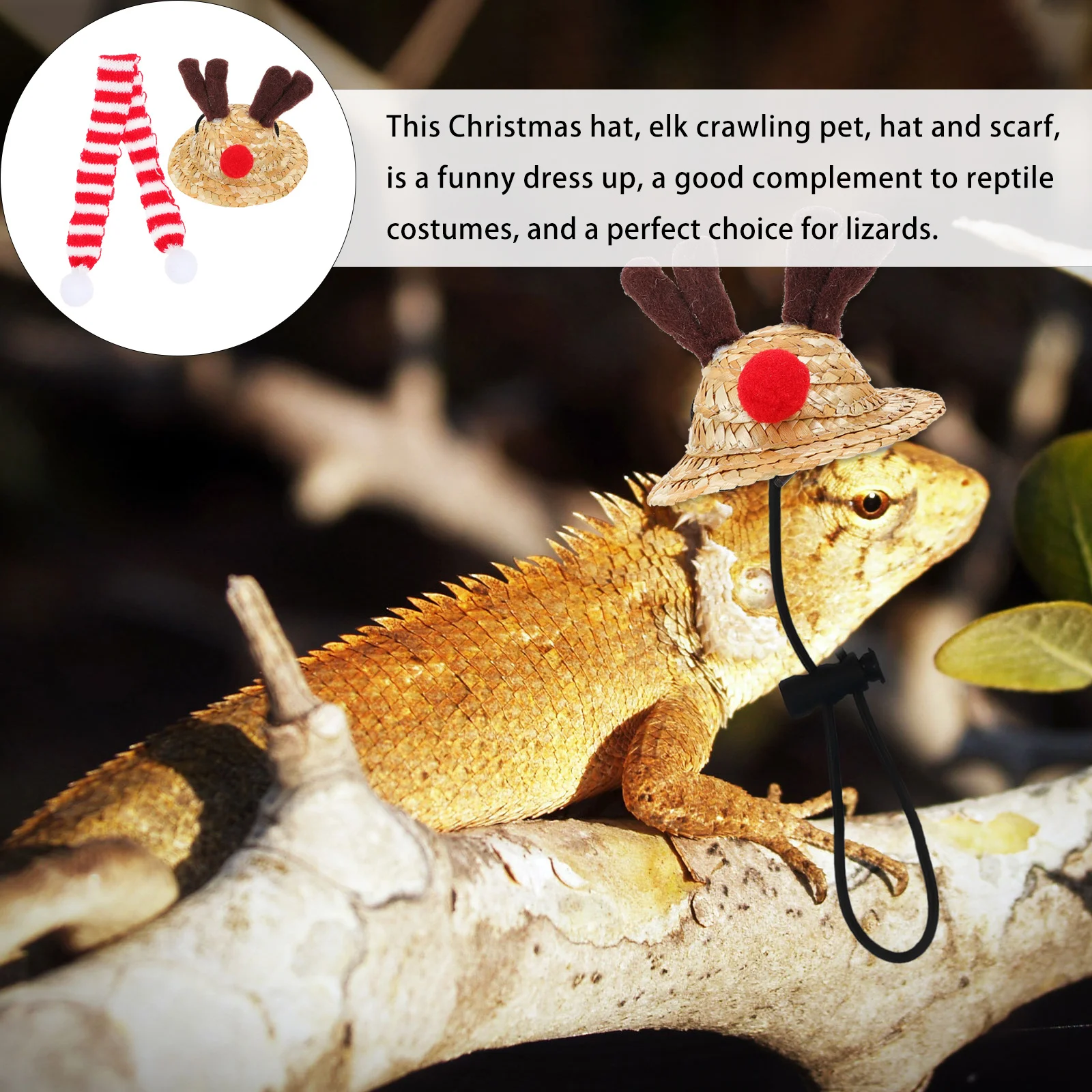 

1 set 1 Set Christmas Lizard Hat Scarf Reptile Costume Accessory Lightweight Pet Supplies Gift For Crawling Animals Dog Hat