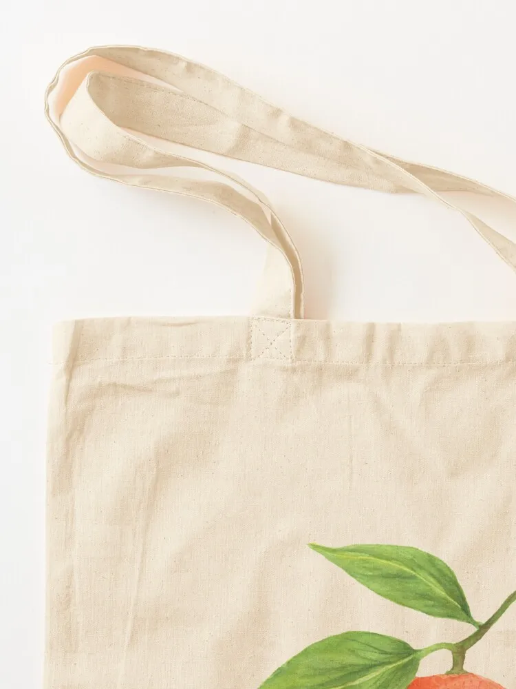 Watercolor Pink Grapefruit Tote Bag tote bag university canvas tote Women's bag ecological bags