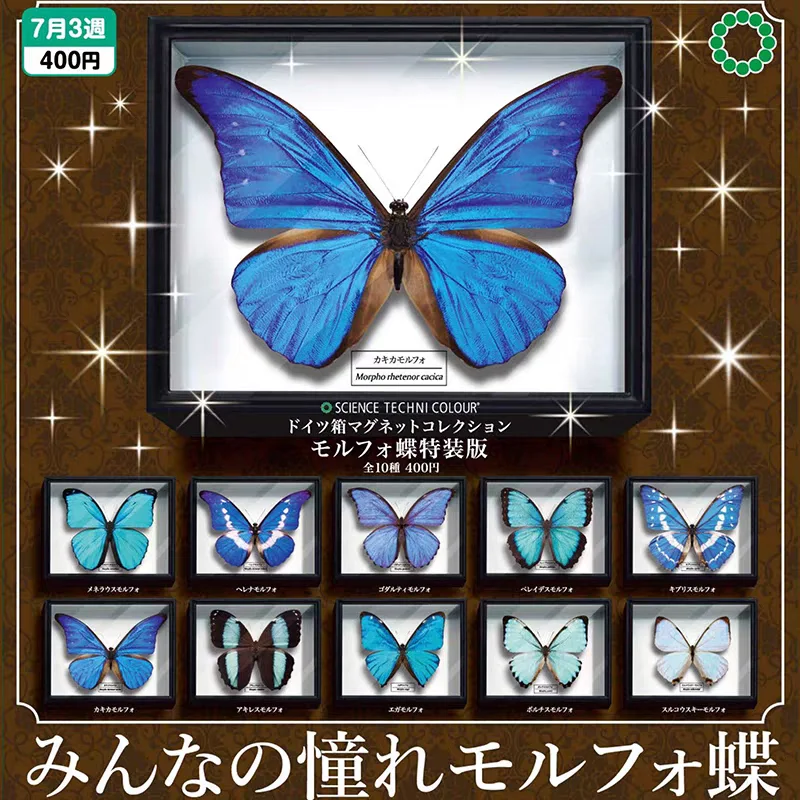 IKIMON ของเล่นแคปซูลที่สมจริง STC เยอรมันกล่องแม่เหล็กตู้เย็นคอลเลกชัน Morpho ผีเสื้อ Special Edition เงา dreamy wing ตัวเลข