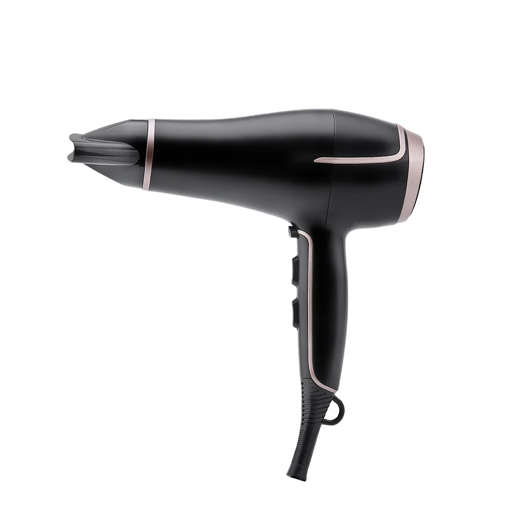 PRITECH 2021New Design High Quality 1875W 2200W Hair Blow Dryer Wholesale Ionic Salon Professional Hair Dryer