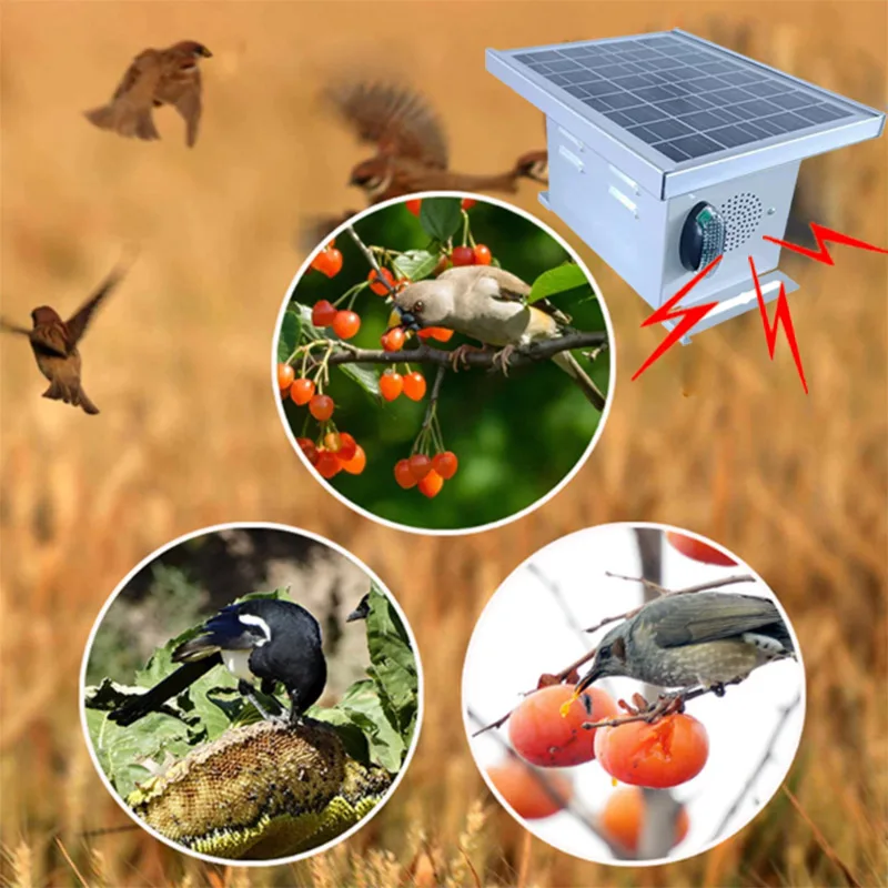 2025 انخفاض استهلاك الإلكترونية بالموجات فوق الصوتية الطيور المتصل حمامة/نقار الخشب/طارد العصفور مع إعداد الطاقة الشمسية
