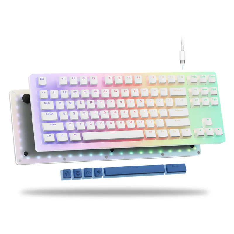 

87 Keys TKL Acrylic Mechanical Gaming Keyboard Hot Swappable PBT Pudding Keycap Gateron Red Switches RGB USB for XVX Womier K87