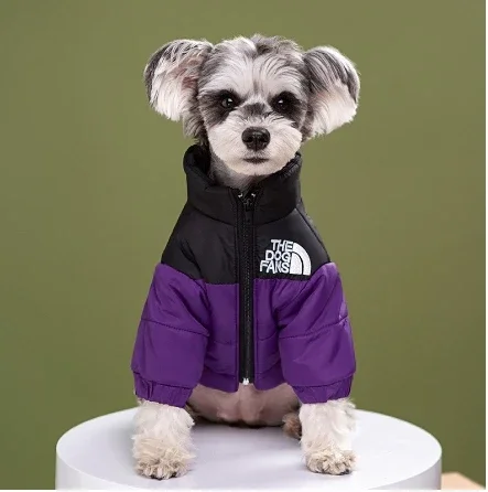 Spot Vestiti per animali domestici Marchio alla moda Ricamato Cane Autunno e inverno Vestiti di cotone Vestiti per animali Addensato Caldo Imbottiture Teddy Abbigliamento