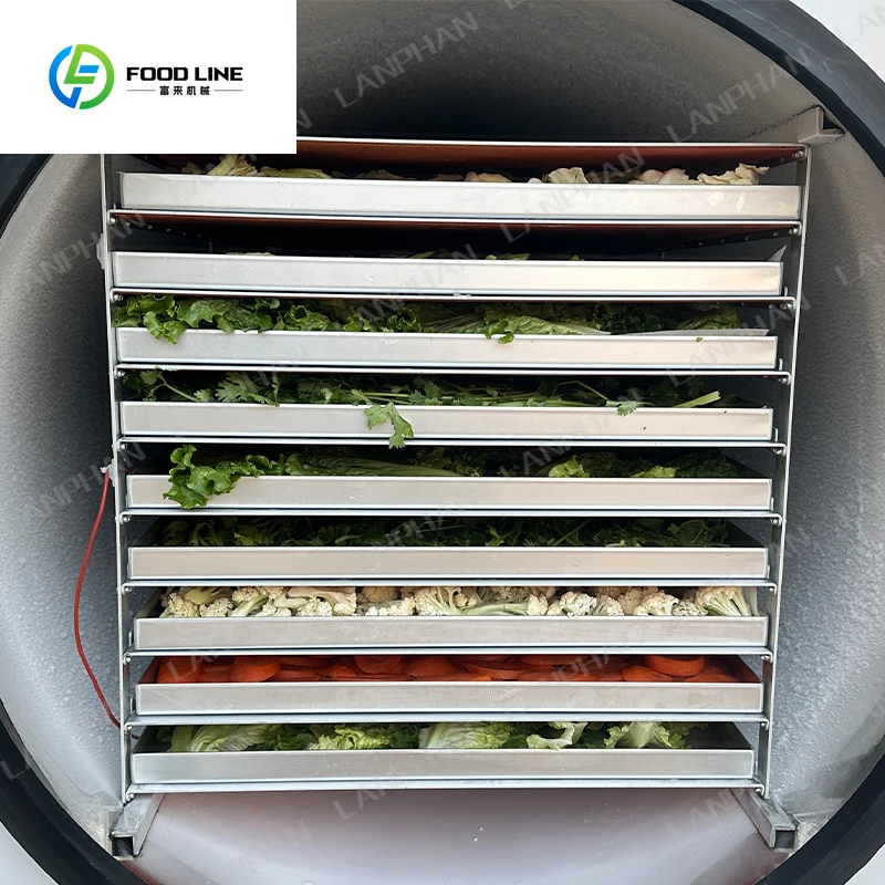 مساحة صينية تجارية 3.5 م2 HFD-35 مجفف تجميد 55 كجم لأغذية الفاكهة والخضروات #3