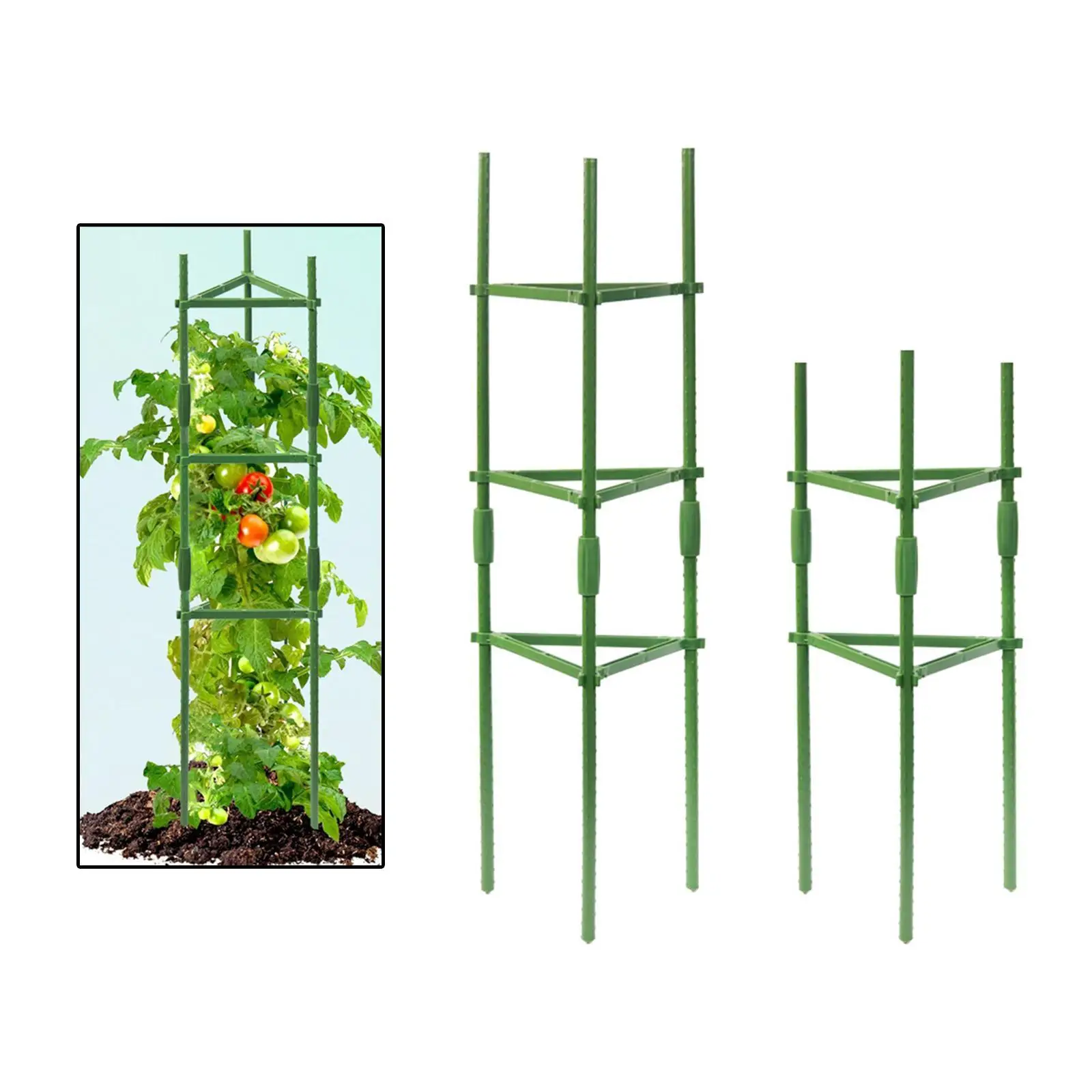 La pianta della gabbia del pomodoro supporta la torre di supporto della pianta rampicante verde dei pali del giardino