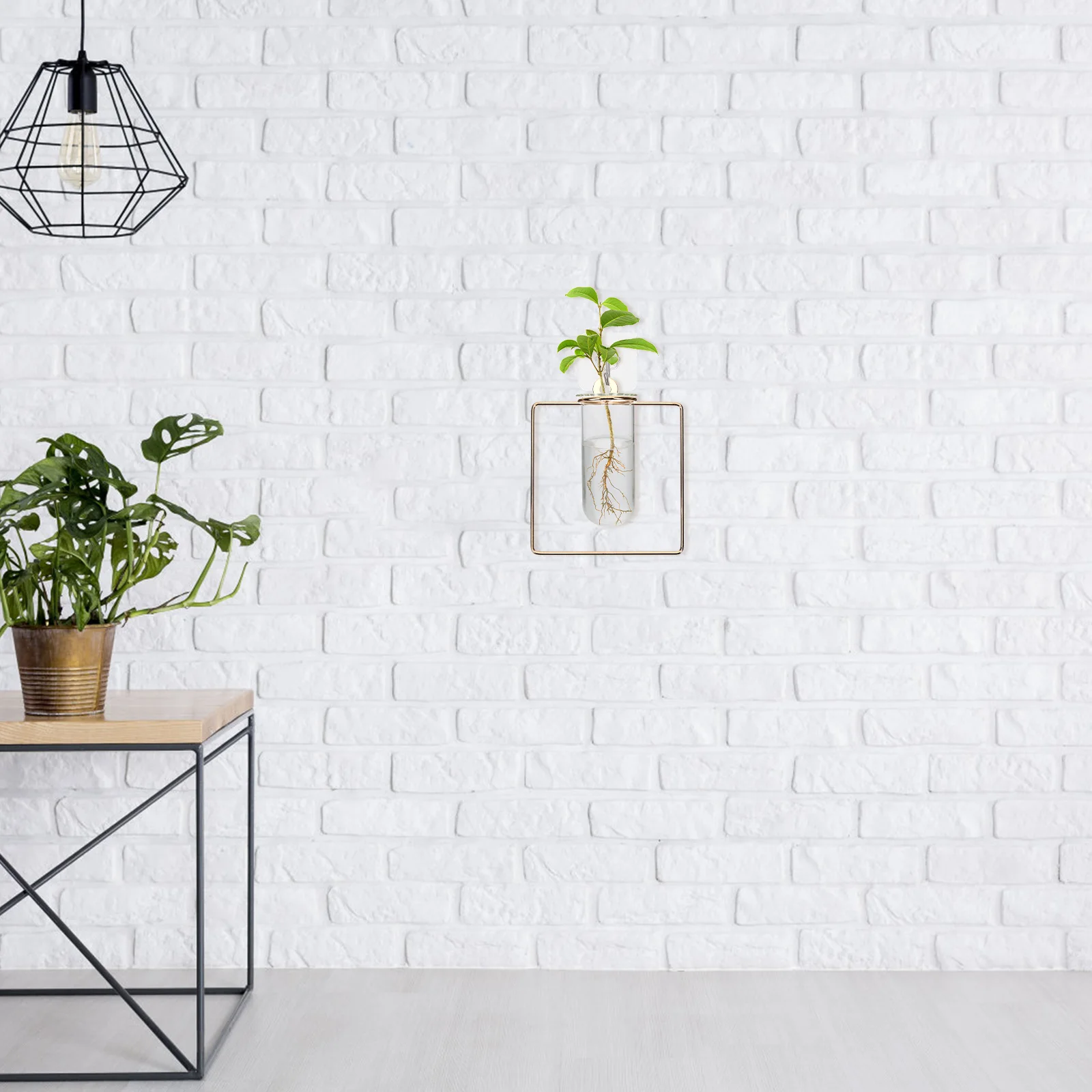 

Wall Flower Vase Glass Propagation Station Durable Hanging Glass Planter Indoor Plant Starter Vase Plant Propagation Tubes