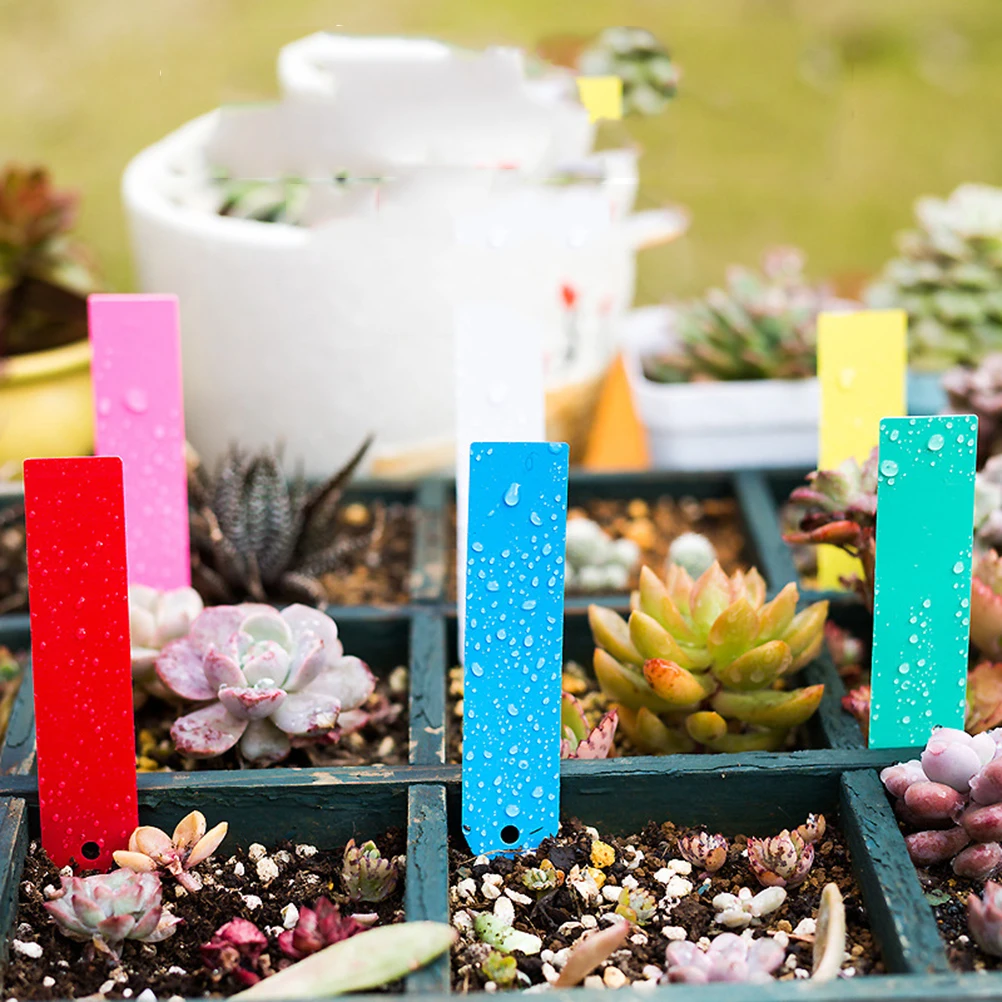 

6 Set Gardening Label Plant Marking Pole Perforated Punch Hole Tags with Marker