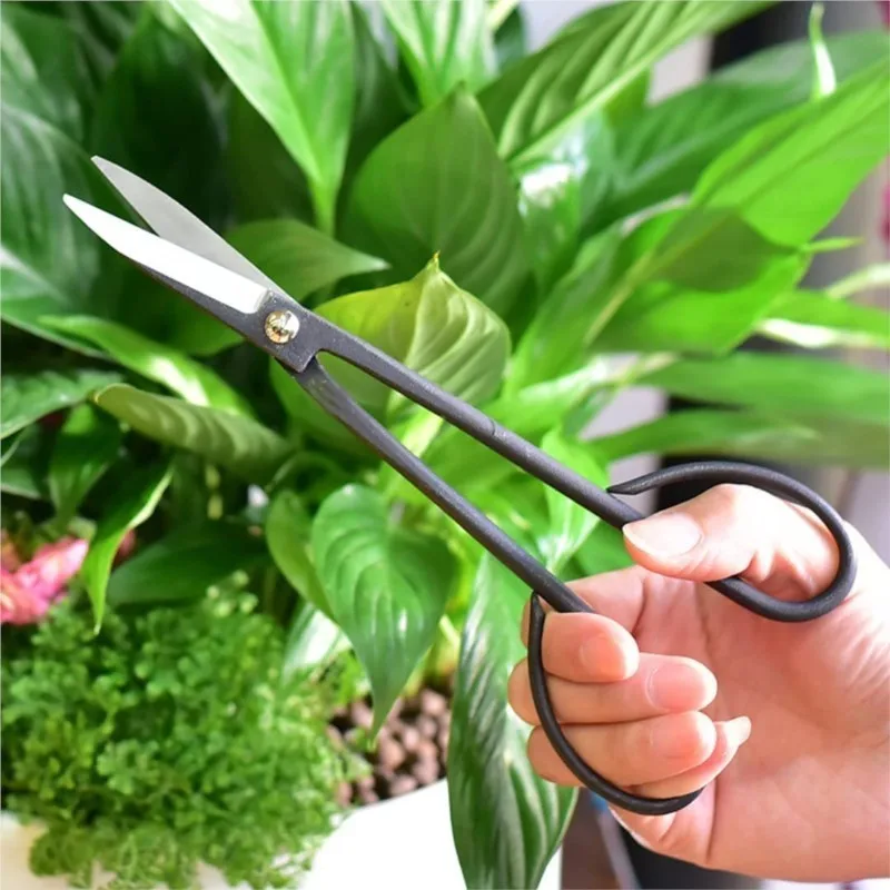 Narzędzie do bonsai dla początkujących Nożyce z długą rączką Nożyce do gałęzi roślin ogrodowych 20 cm Narzędzia do przycinania ogrodu Nożyce do bonsai Drop Shipping — zdjęcie 7