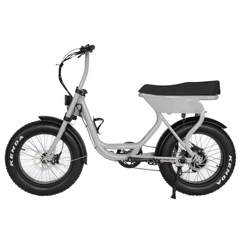 

Electric Mountain Bike Atv08 Fatbike Electric Hybrid Bike 48v Electric Bike 250W 1000W