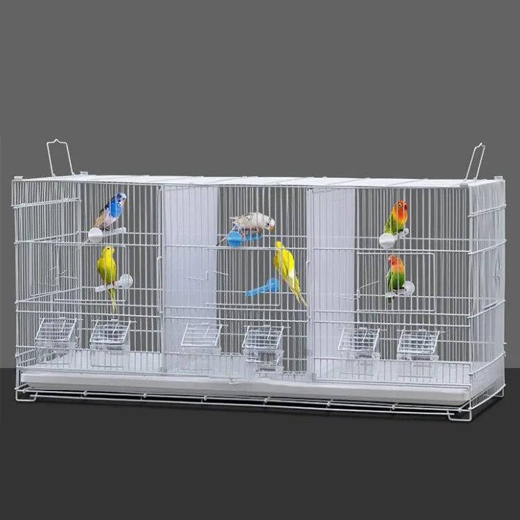 High Quality three space bird cages can be kept separately Multi space bird cage heavy duty Wire Steel breeding parrot cage