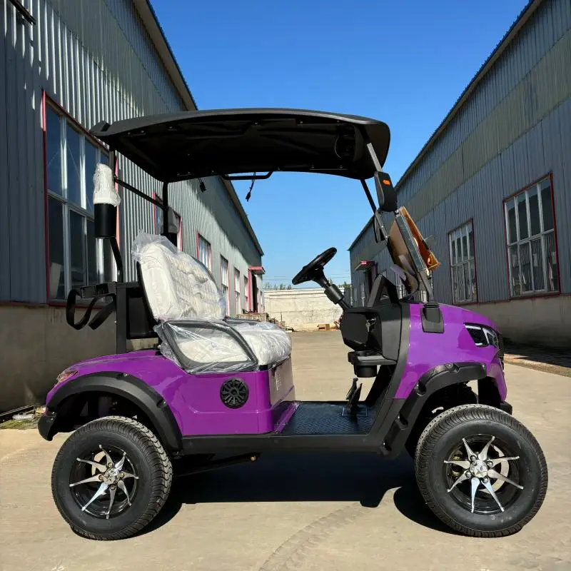 Fast Durable 2 4 6 Seater Lithium Battery Golf Buggy street legal 72v luxury Electric 4WD Club Golf Carts