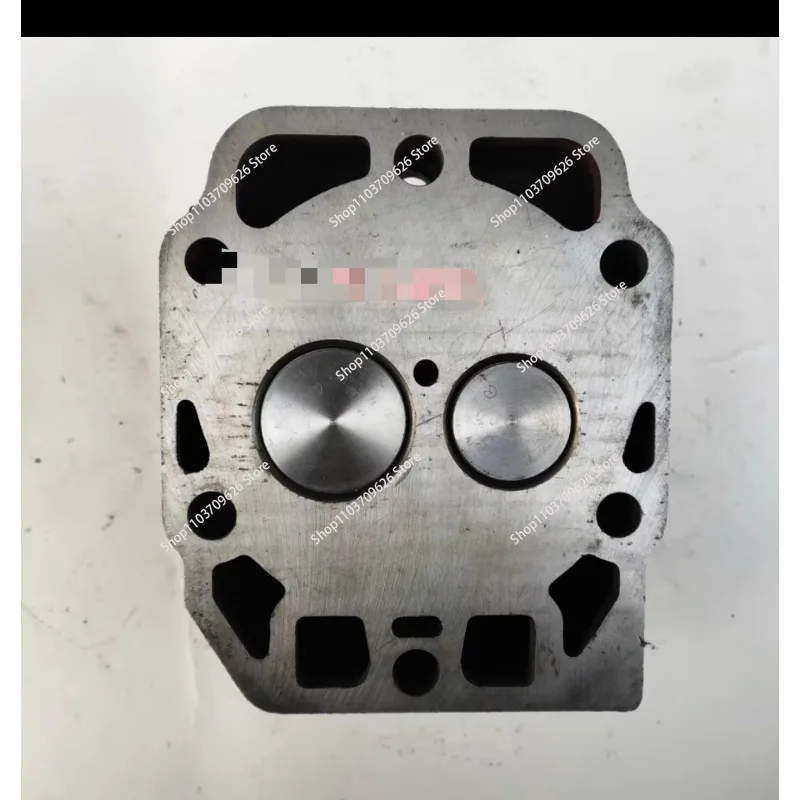 

ZS1100/ZS1105/ZS1110/ZS1115 одноцилиндровый дизельный двигатель с водяным охлаждением, главный двигатель, соответствующий сборке головки блока цилиндров