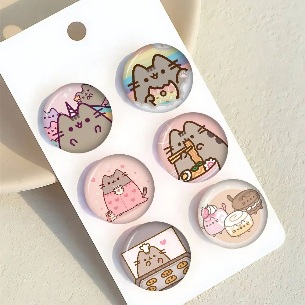 Handmade Brooch Cartoon Cosplay Badge On Backpack Jewelry Accessories Gifts Cute P-pusheen-S