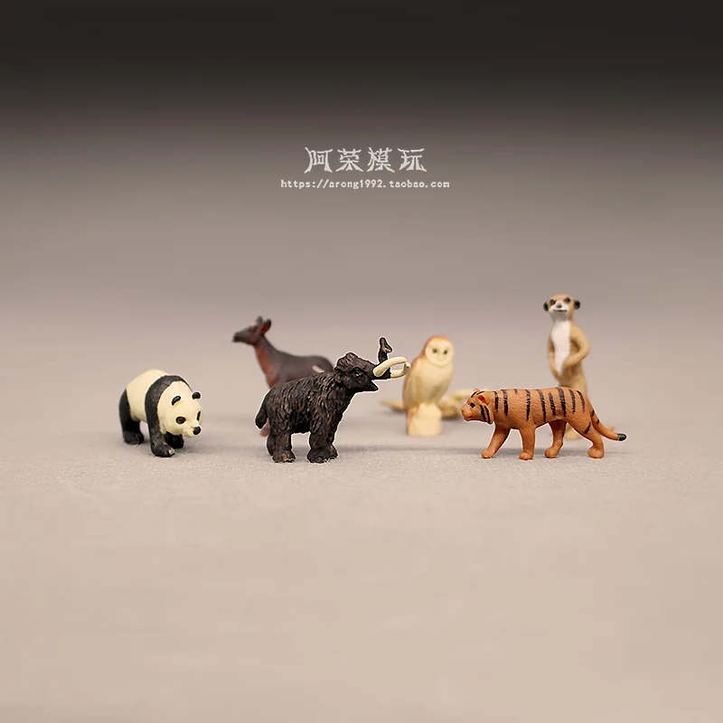미니어처 풍경 야생 동물 모델 호랑이 판다 미어캣 액션 피규어 창의적인 미니 장식품 장난감 액세서리