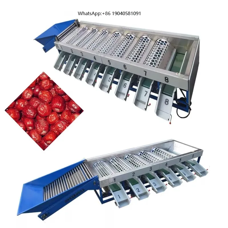 High Output Customized Fruit and Vegetable Sorting Grading Machine-Multifunctional for Wholesale