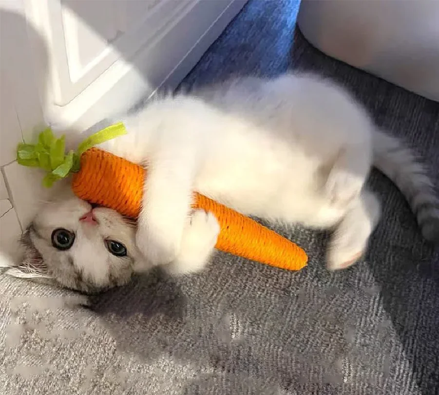 

Cat Toys Sound Carrot Cuddle cat stick since fun fun cat teething stick anti-bite cat scratch board pet supplies
