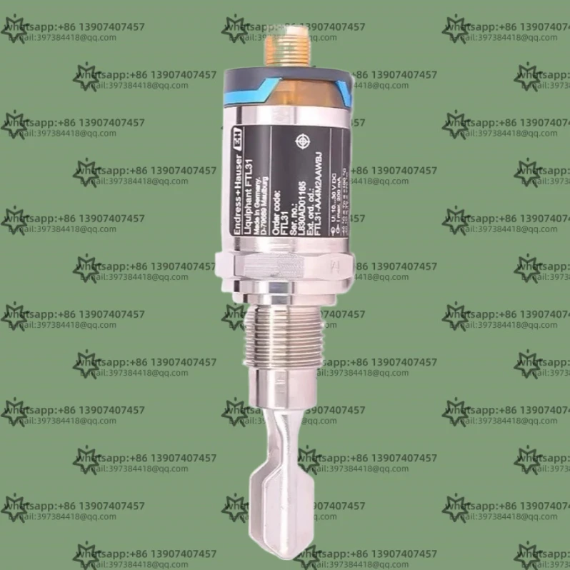 

E + H tuning fork switch FTL31-11U4/0 AA4U2AAWBJ liquid level switch FTL20-0020