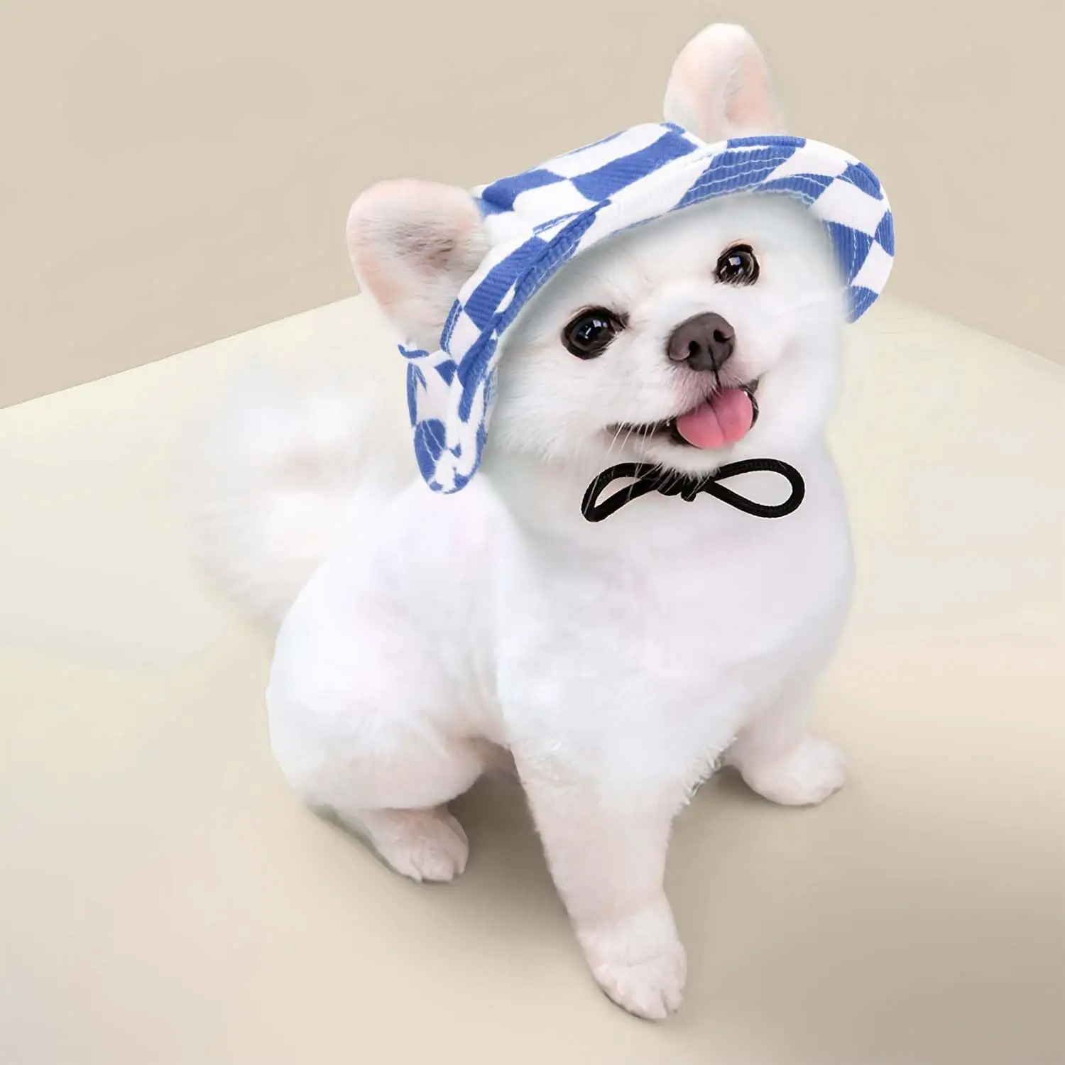 Pet Hat for Cats with Adjustable String Pet Hat Small Pet for Sphynx  Devon Rex Birthday Party Costume Decoration