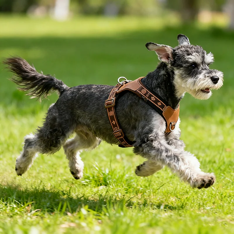 حزام صدر للكلاب قابل للتعديل يسمح بمرور الهواء مع شريط عاكس لجر الحيوانات الأليفة مناسب لأشرطة صدر الكلاب الصغيرة والمتوسطة الحجم #3