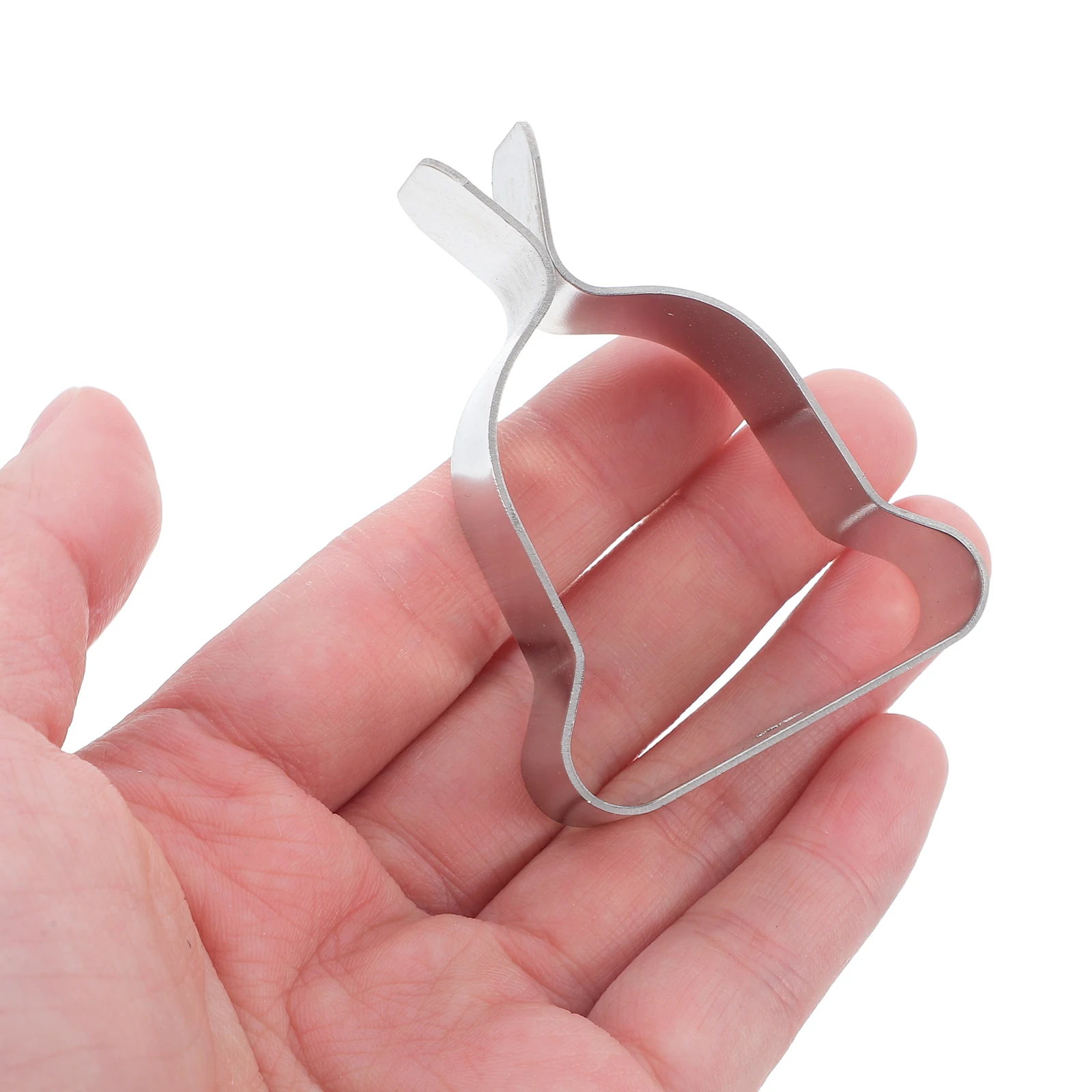 

10 Pcs Well Cover Window Well Hardware Clips Stainless Steel Hardware Durable Spring Metal Clamps For Buildings