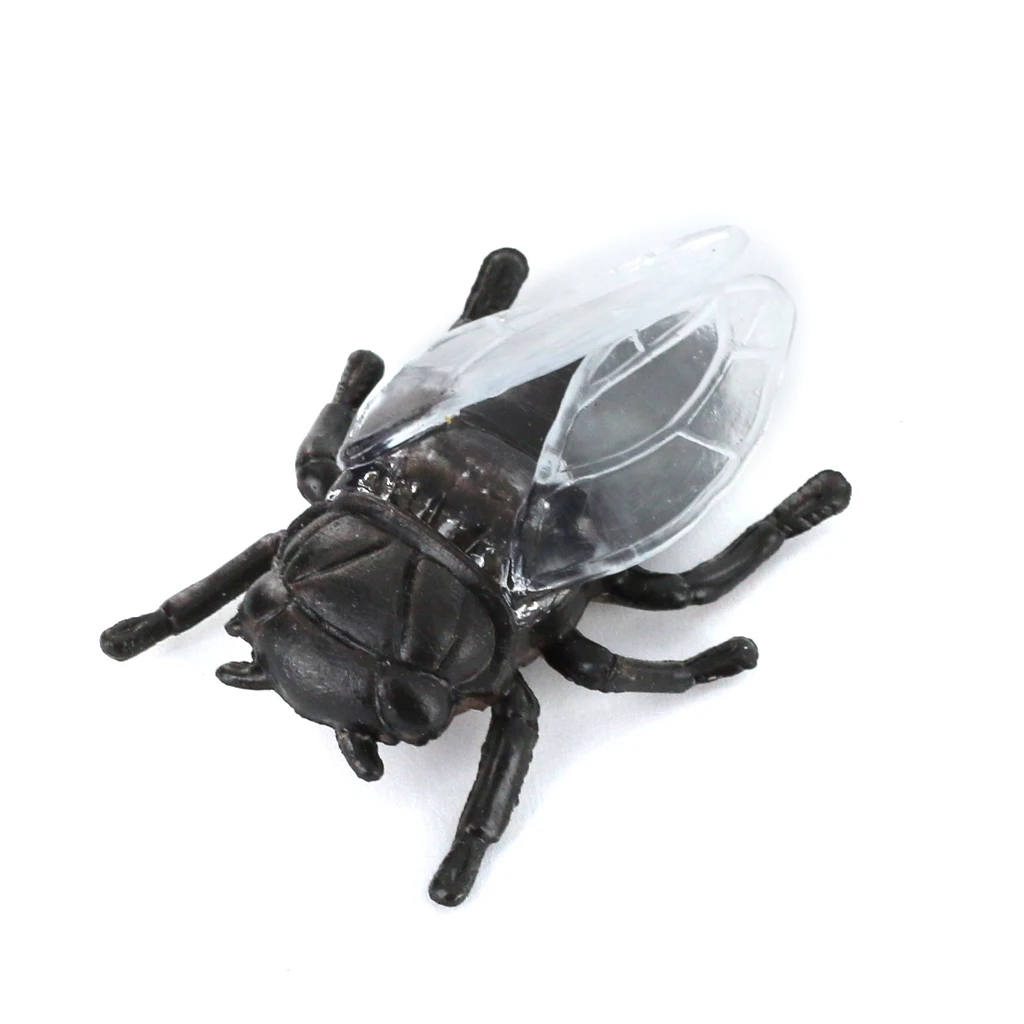 Hard Plastic 12pcs Various Animals Model Colorful Display Figures Kid Toys Tools Funny Education