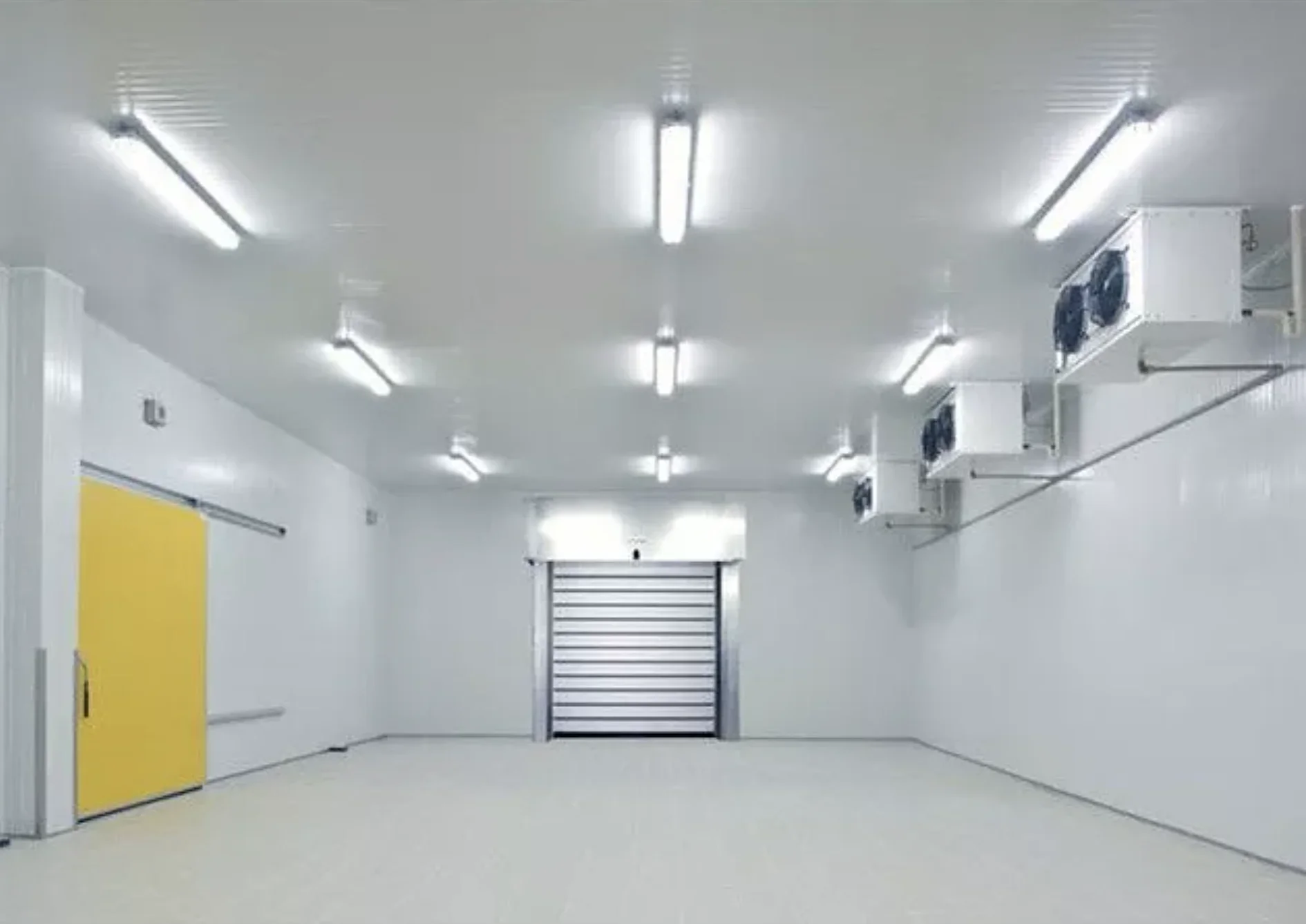 Cold Room/Walk in Freezer Storage High Efficiency Customized Freezing Room