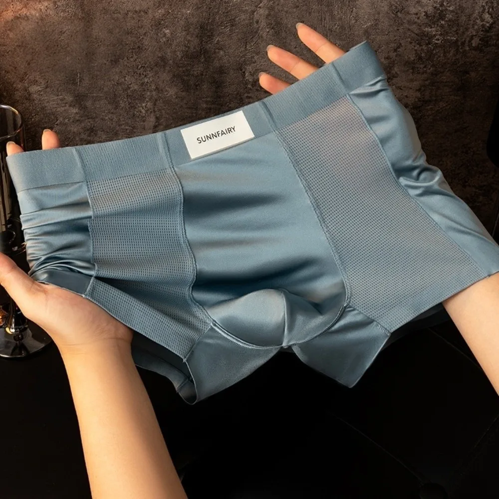 

Elastic Plus Size Men's Boxer Briefs Flat Leg Seamless L-XXXXL Man Underwear Lingerie Mesh Ice Silk Panties Male