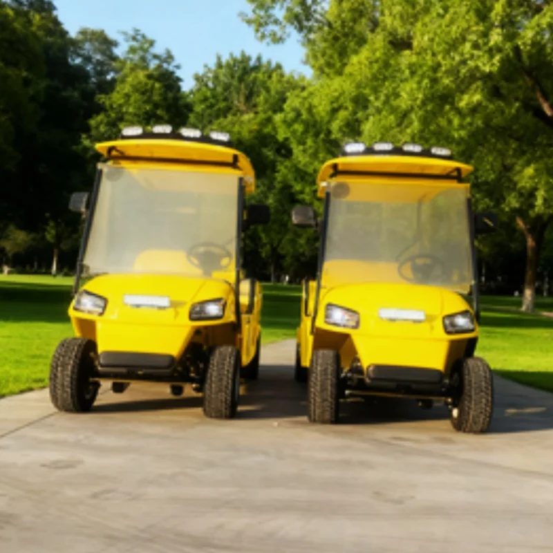 

72V 2 Seater Golf Buggy Aluminium Frame Electric Golf Cart For Golf Course With Rear Cargo Box Roof LED Light Strips Cargo Cart