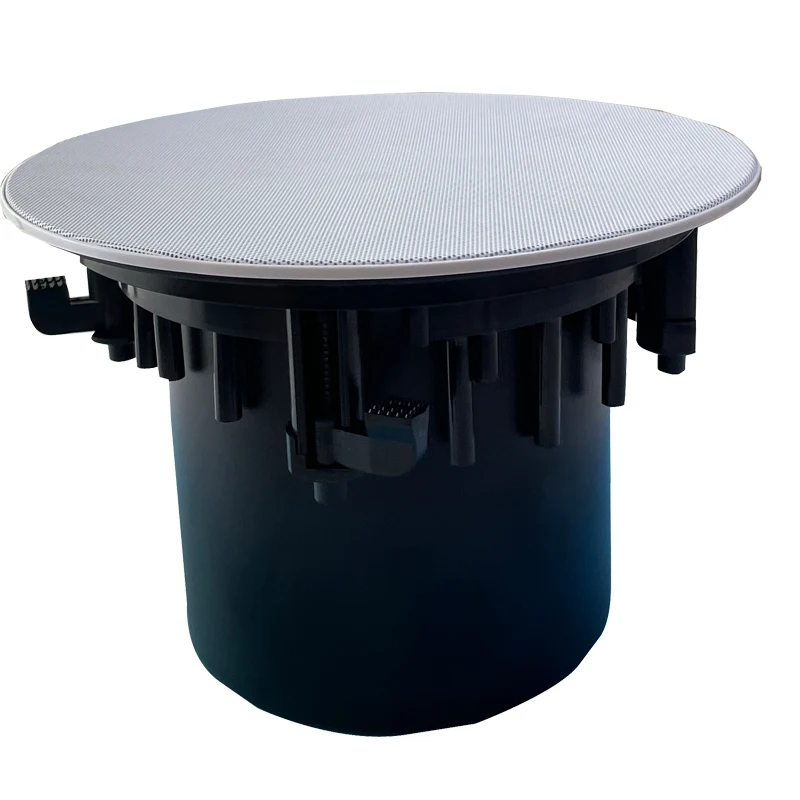 

Home Theater Smart Speaker With WiFi Multi-room Playing Background Music System