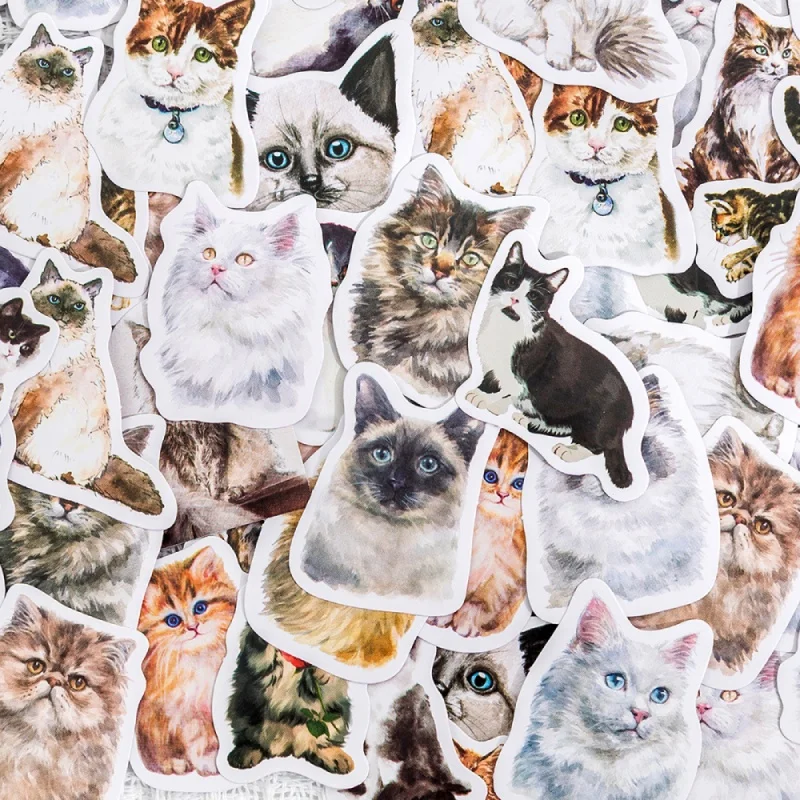 46Pcs Cat Animal Box Stickers Bookmarks Calendars Water Bottles Decorative Stickers Dtationery decorative Materials