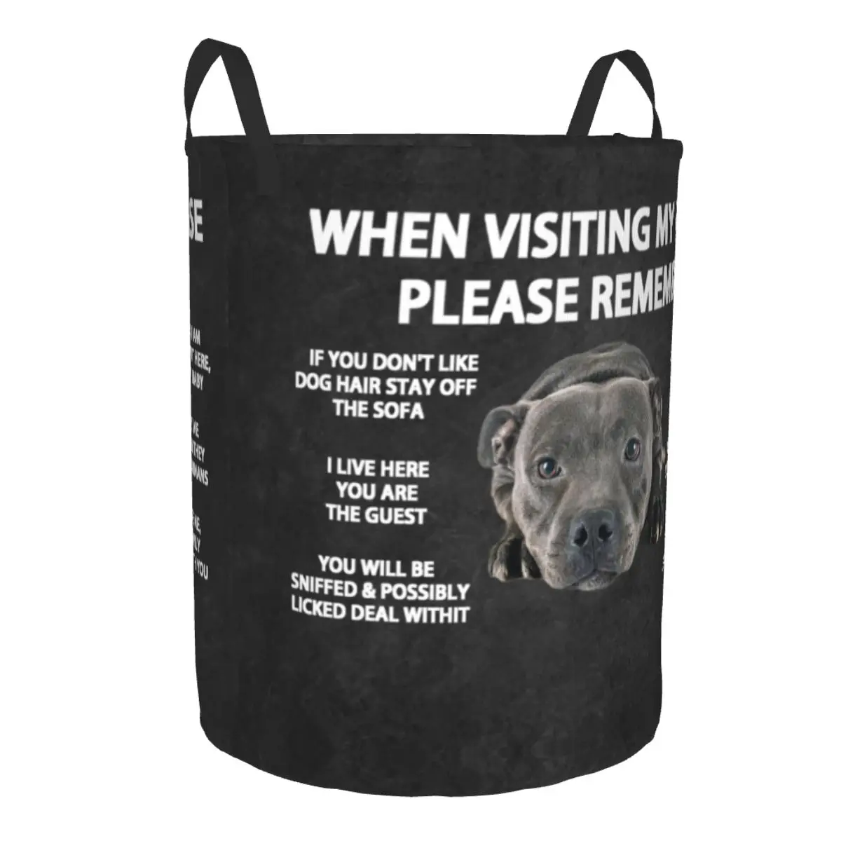 When Visiting My House Please Remember Dog Quotes 22 Laundry Basket Foldable Toy Clothes Hamper Storage Bin for Kids Nursery