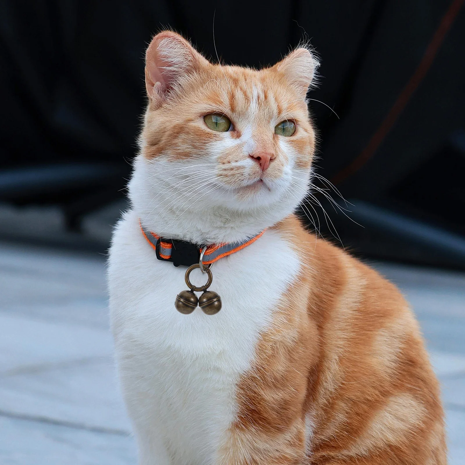 

2Pcs Dog Cat Collar Bells Quick Clip Attachment Crisp Sound Training Pet Supplies Holiday Decor Dog Keychain Charm