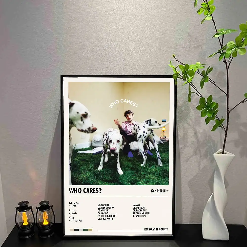 R-Rex Orange C-County Poster Music Album Canvas Print Wall Art Room Decor Wall Art Print Home Decor 50X70 Room