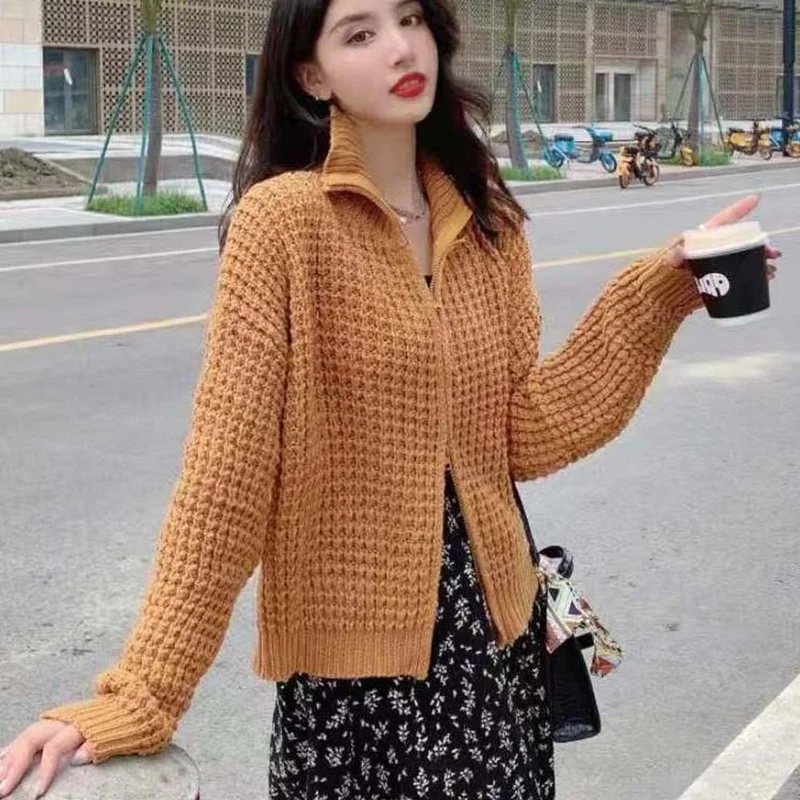 Generous Collar Zipper Mesh Knitted Cardigan Jacket for Fall Winter 2022 Korea Style Leisure Design Short Loose Sweater Cardigan